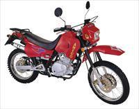 XR300